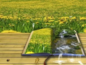 Best Books on Semen Retention Benefits